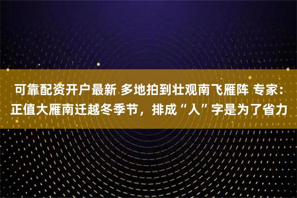 可靠配资开户最新 多地拍到壮观南飞雁阵 专家：正值大雁南迁越冬季节，排成“人”字是为了省力
