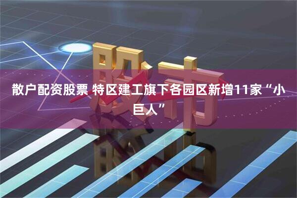 散户配资股票 特区建工旗下各园区新增11家“小巨人”